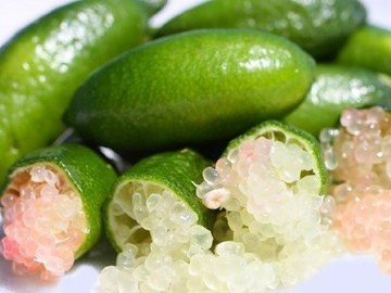 CAVIAR CÍTRICO
