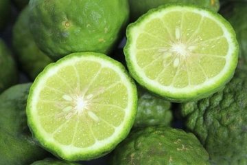 BERGAMOTA
