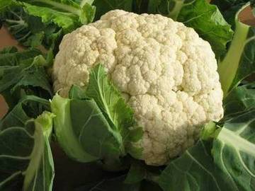 COLIFLOR