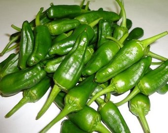 PIMIENTO CELTA
