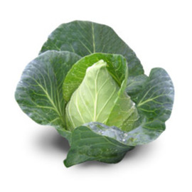 COL REPOLLO PICUDO