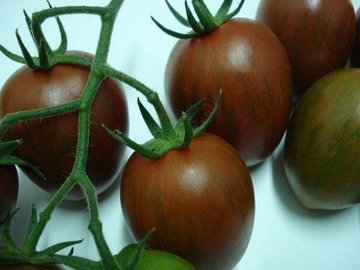 TOMATE CHERRY NEGRO