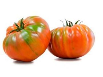 TOMATE IRATI