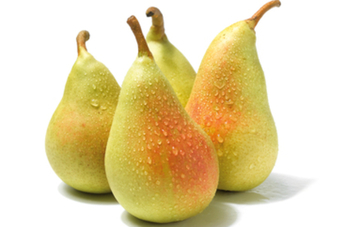 ERCOLINI