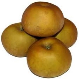 REINETA PARDA