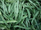 JUDIA VERDE