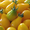 TOMATE CHERRY AMARILLO